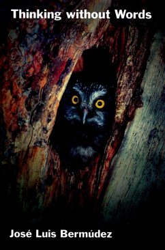 Thinking without Words (eBook, ePUB) - Bermudez, Jose Luis