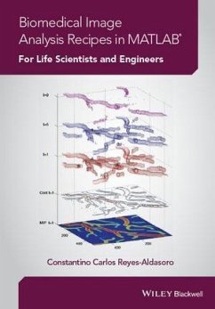 Biomedical Image Analysis Recipes in MATLAB (eBook, PDF) - Reyes-Aldasoro, Constantino Carlos
