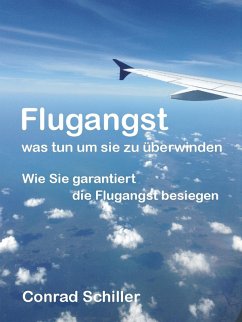 Cover Flugangst - was tun um sie zu überwinden (eBook, ePUB)