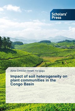 Impact of soil heterogeneity on plant communities in the Congo Basin - Amani Ya Igugu, Aime Christian