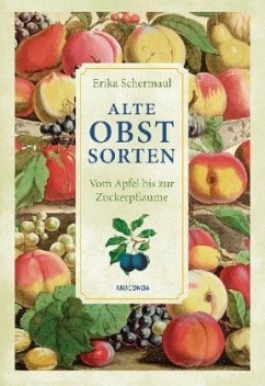 Alte Obstsorten - Schermaul, Erika