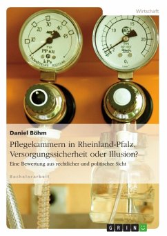 Pflegekammern am Beispiel von Rheinland-Pfalz. Versorgungssicherheit oder Illusion? (eBook, ePUB)