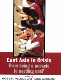 East Asia in Crisis (eBook, ePUB)