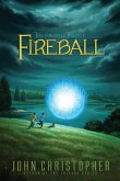 Fireball (eBook, ePUB)