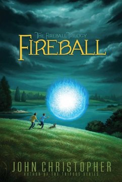Cover Fireball (eBook, ePUB)
