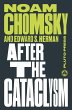 After the Cataclysm (eBook, PDF) - Bild 1