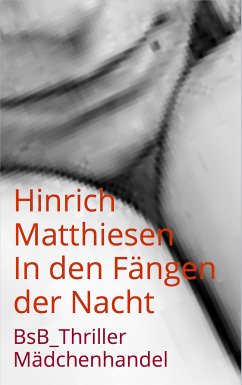 In den Fängen der Nacht (eBook, ePUB) - Matthiesen, Hinrich