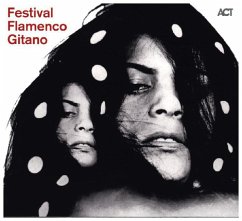 Festival Flamenco Gitano - Diverse