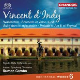 Orchesterwerke Vol.6 Orchesterwerke Vol.6