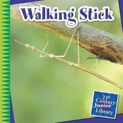 Walking Stick - Orr, Tamra B