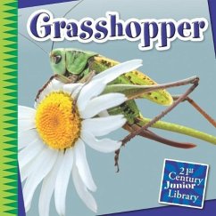 Grasshopper - Gray, Susan H