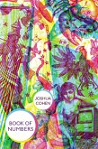Book of Numbers (eBook, ePUB)