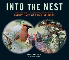 Cover Into the Nest (eBook, ePUB)