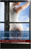 Faithfully Unfaithful (eBook, ePUB)