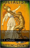 A Critique of Socialism (eBook, ePUB)