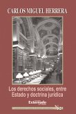 Los derechos sociales entre estado y doctrina jurídica (eBook, ePUB)