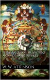 Reincarnation in Ancient and Modern Cultures (eBook, ePUB)