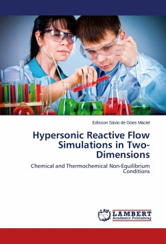 Hypersonic Reactive Flow Simulations in Two-Dimensions - Góes Maciel, Edisson Sávio de