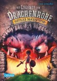 Plötzlich Drachentöter! / Die Legende von Drachenhöhe Bd.1