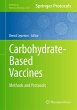 Carbohydrate-Based Vaccines - Bild 1