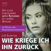 Wie kriege Ich Ihn zurück - Der kleine aktiv Ratgeber mit großer Wirkung bei Trennung und Liebeskummer (MP3-Download)