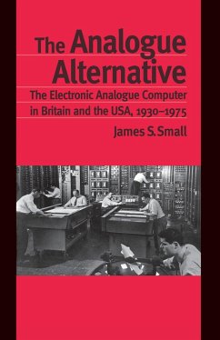 The Analogue Alternative (eBook, PDF) - Small, James S.