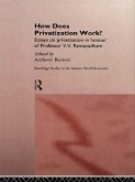 How Does Privatization Work? (eBook, PDF)