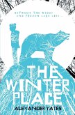 The Winter Place (eBook, ePUB)