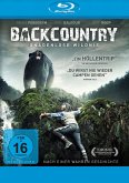 Backcountry-Gnadenlose Wildnis