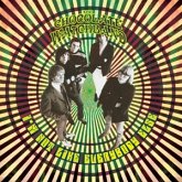 I'M Not Like Everybody Else