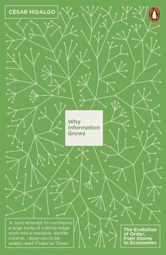 Cover Why Information Grows (eBook, ePUB)