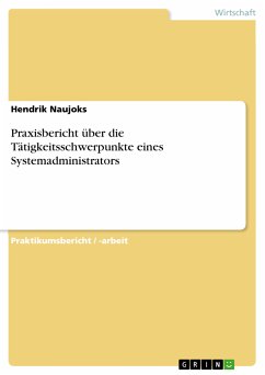 Praxisbericht über die Tätigkeitsschwerpunkte eines Systemadministrators (eBook, PDF) - Naujoks, Hendrik