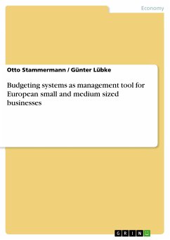 Budgeting systems as management tool for European small and medium sized businesses (eBook, PDF) - Stammermann, Otto; Lübke, Günter