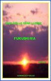 Eine Hölle ohne Lizenz Fukushima (eBook, ePUB)
