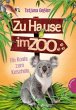 Ein Koala zum Kuscheln / Zu Hause im... - Bild 1