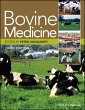 Bovine Medicine (eBook, ePUB) - Bild 1