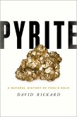 Pyrite (eBook, ePUB)