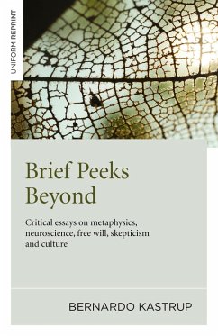 Cover Brief Peeks Beyond (eBook, ePUB)