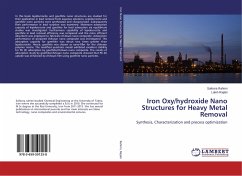 Iron Oxy/hydroxide Nano Structures for Heavy Metal Removal