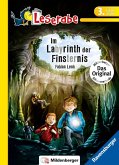 Im Labyrinth der Finsternis - Leserabe 3. Klasse - Erstlesebuch für Kinder ab 8 Jahren