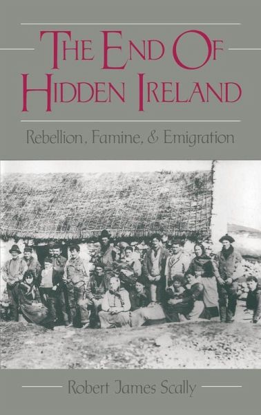 The End of Hidden Ireland (eBook, ePUB)