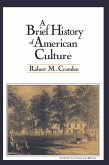 A Brief History of American Culture (eBook, ePUB)