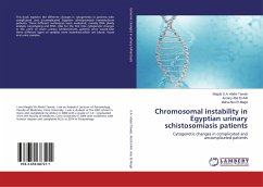 Chromosomal instability in Egyptian urinary schistosomiasis patients