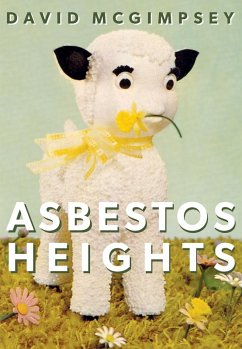 Asbestos Heights (eBook, ePUB) - McGimpsey, David