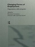 Changing Forms of Employment (eBook, ePUB)