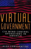 Virtual Government (eBook, ePUB)