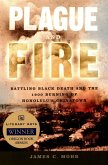 Plague and Fire (eBook, ePUB)