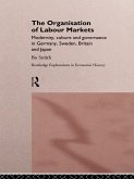 The Organization of Labour Markets (eBook, ePUB)