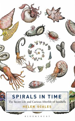 Cover Spirals in Time (eBook, ePUB)