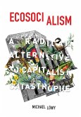 Ecosocialism (eBook, ePUB)